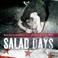 V/A Salad Days: A Decade Of Punk  LP